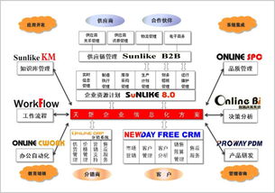 天新科技 企業(yè)信息化專家